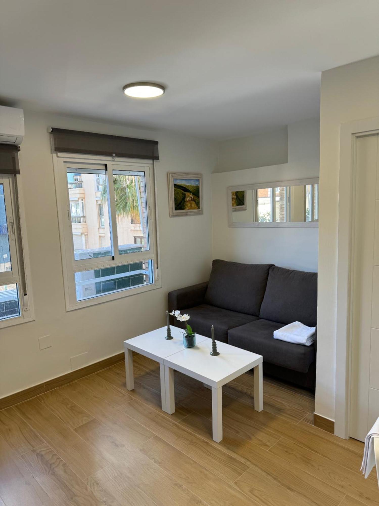 Apartment Mediterranean Malagueta